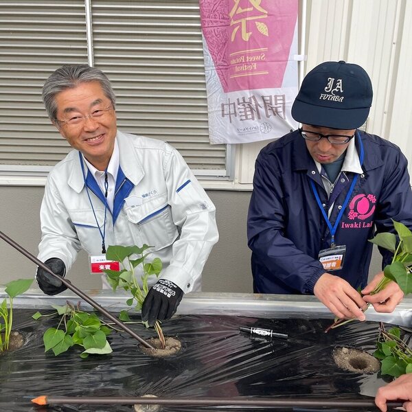 苗を植える高野復興専任理事（左）
