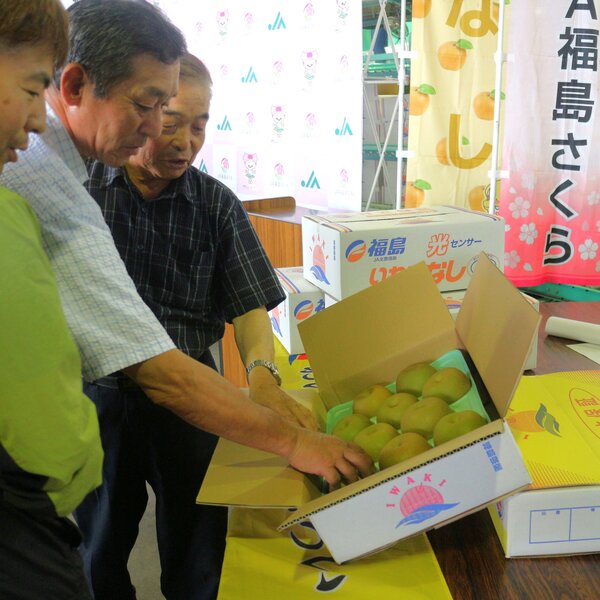 梨を確認する生産者（ベトナム向け輸出梨出発式）