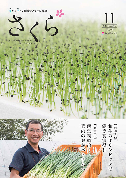 2017年11月号表紙