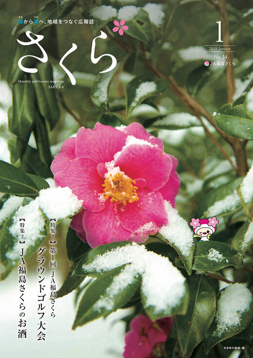 2019年1月号表紙