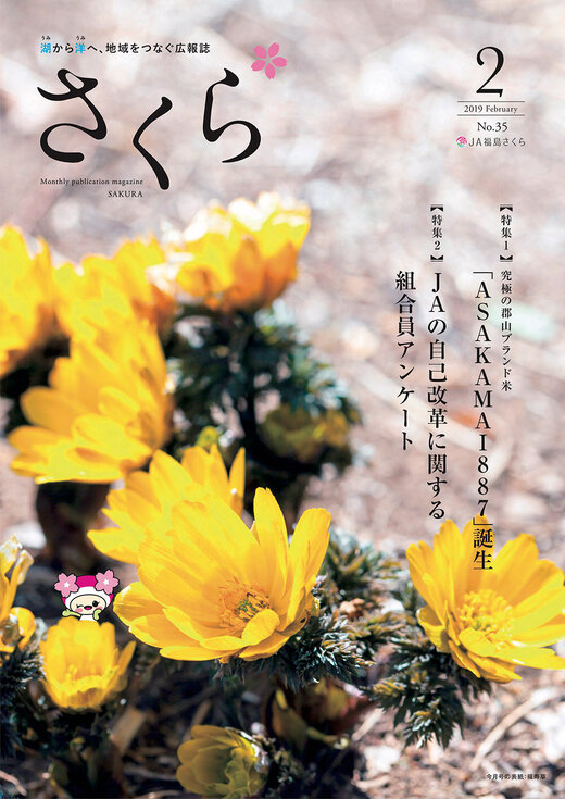 2019年2月号表紙