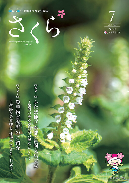 2019年7月号表紙