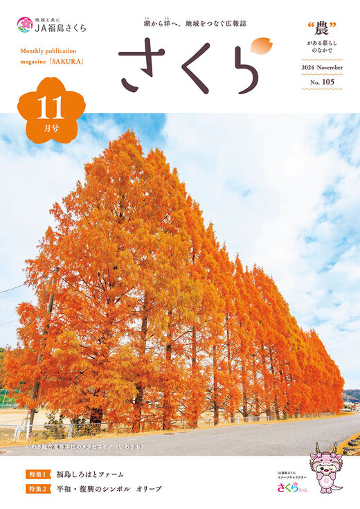2024年11月号表紙